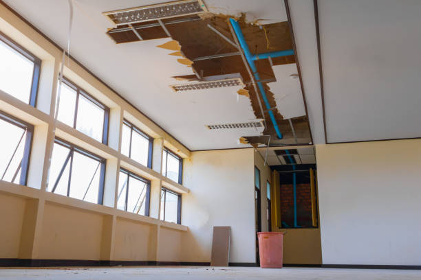 Best Mold removal after water damage  in Cave Creek, AZ