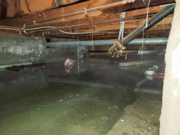 Trusted Cave Creek, AZ Water damage restoration Experts