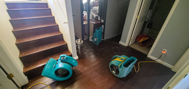 Best 24-hour water damage restoration  in Cave Creek, AZ