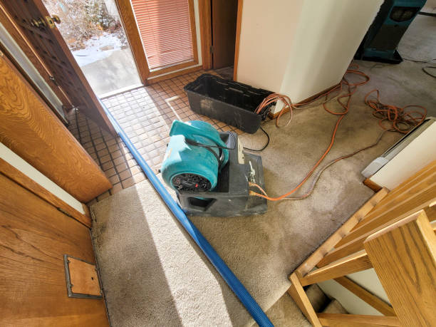 Best Water damage contractors near me  in Cave Creek, AZ