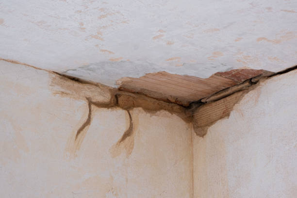 Best Basement water damage restoration  in Cave Creek, AZ