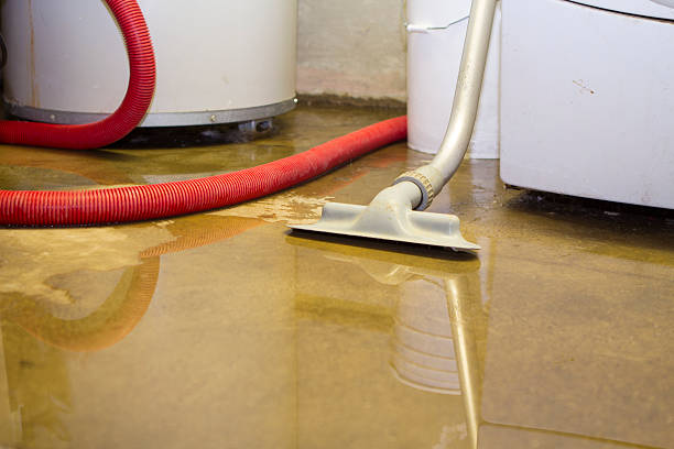 Best Professional water damage repair  in Cave Creek, AZ