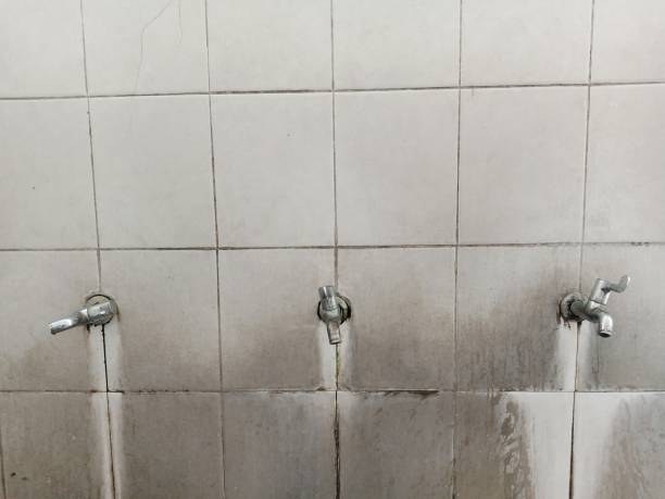  Cave Creek, AZ Water damage restoration Pros