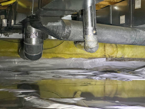 Best Sewage cleanup and water damage restoration  in Cave Creek, AZ
