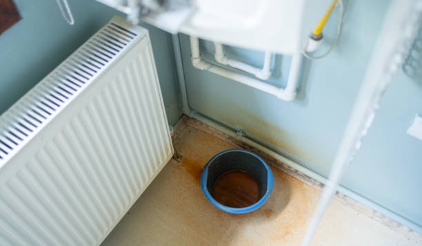 Best Carpet water damage restoration  in Cave Creek, AZ