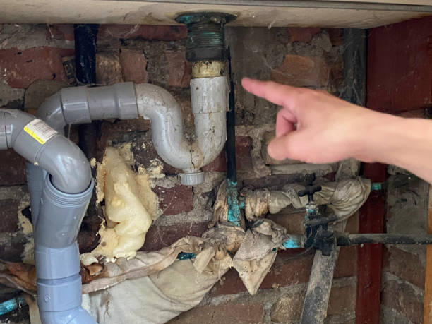 Best Sewage cleanup and water damage restoration  in Cave Creek, AZ