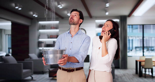 Best Flooded house restoration  in Cave Creek, AZ