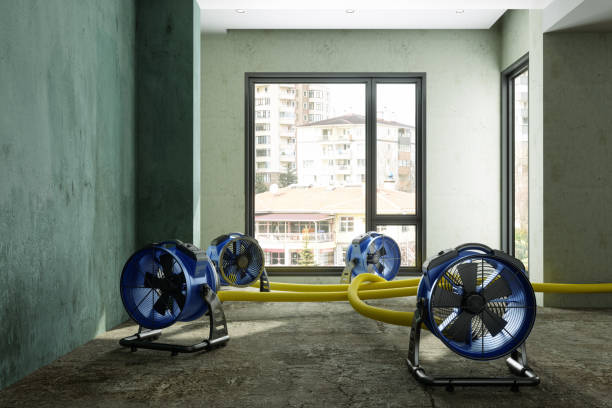 Sewage cleanup and water damage restoration in Cave Creek, AZ